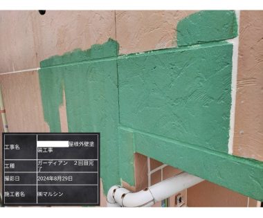 外壁：ｶﾞｰﾃﾞｨｱﾝ塗装