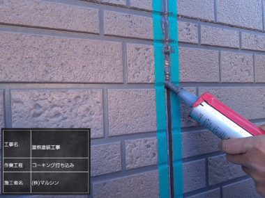 ギャラリー画像7