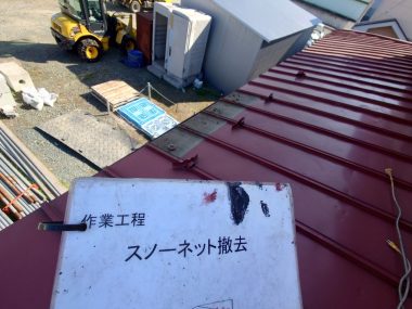 ギャラリー画像1