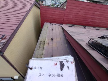 ギャラリー画像1