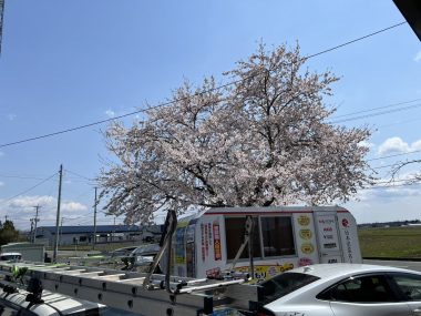 2025年ゴールデンウィークのお休みについて