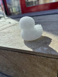 1月も終わりです⛄