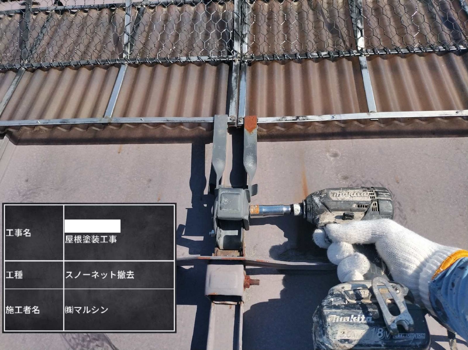 ギャラリー画像1